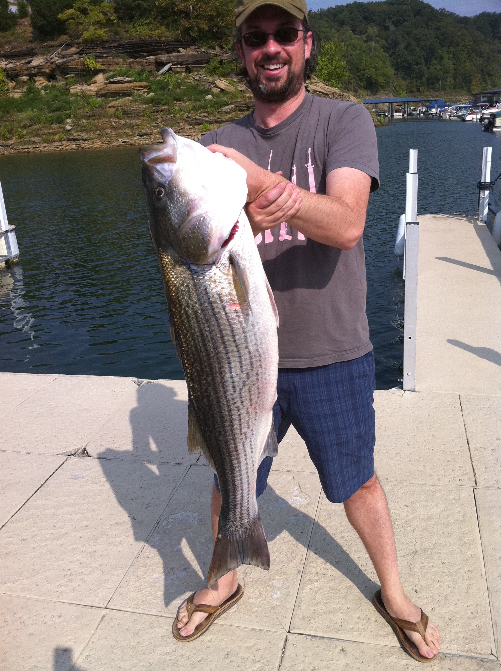 Cumberland River Striper Fishing Report